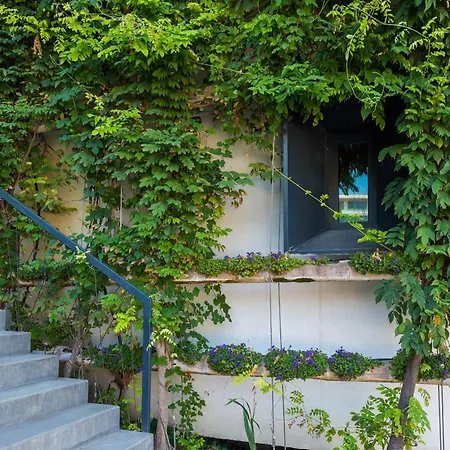 Apartament Bamboo Garden 